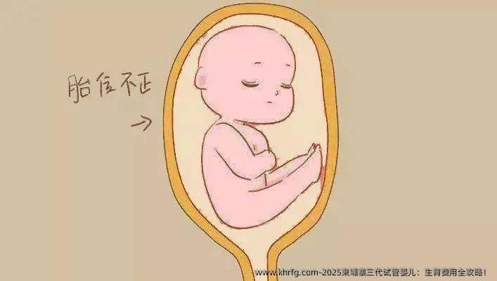 2025柬埔寨三代试管婴儿：生育费用全攻略！