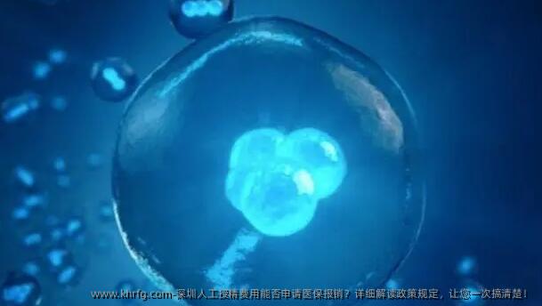 深圳人工授精费用能否申请医保报销？详细解读政策规定，让您一次搞清楚！