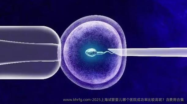 2025上海试管婴儿哪个医院成功率比较高呢？含费用合集