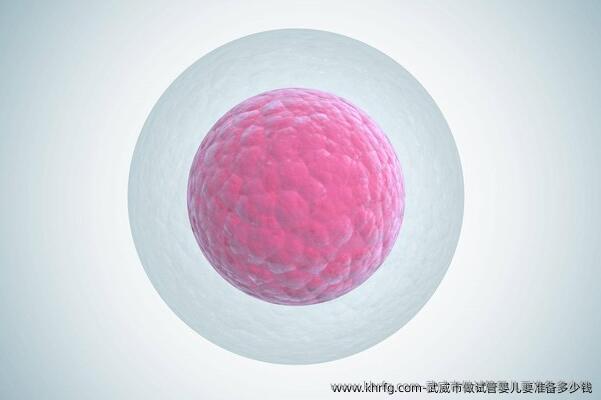 武威市做试管婴儿要准备多少钱