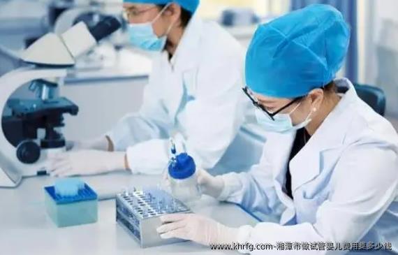 湘潭市做试管婴儿费用要多少钱