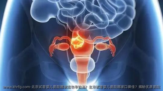 北京试管婴儿医院哪家成功率较高？北京试管婴儿医院哪家口碑佳？揭秘优质医院