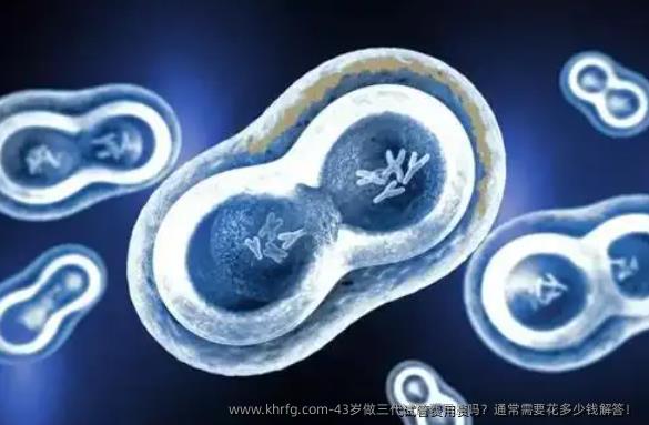 43岁做三代试管费用贵吗？通常需要花多少钱解答！