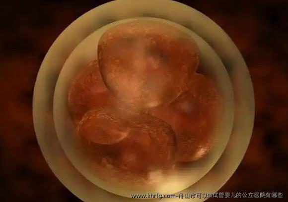 舟山市可以做试管婴儿的公立医院有哪些