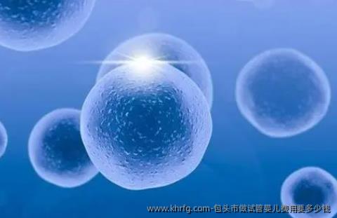 包头市做试管婴儿费用要多少钱