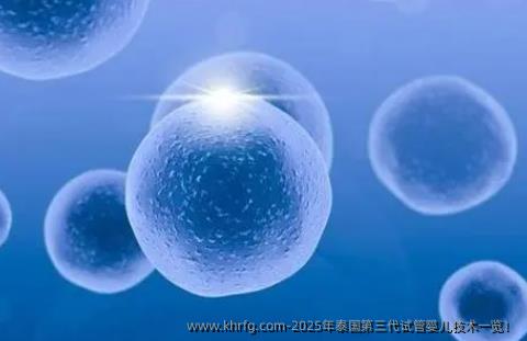 2025年泰国第三代试管婴儿技术一览！