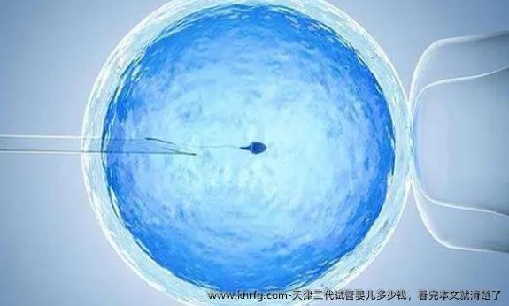 天津三代试管婴儿多少钱，看完本文就清楚了