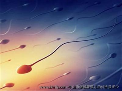 中山市做试管婴儿的价格是多少