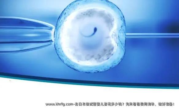 去日本做试管婴儿要花多少钱？先来看看费用清单，做好准备！