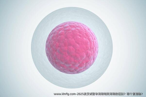 2025武汉试管单周期和双周期的区别？哪个更准确？