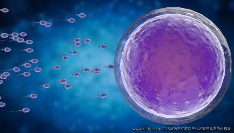 2025临汾私立医院三代试管婴儿费用价格表