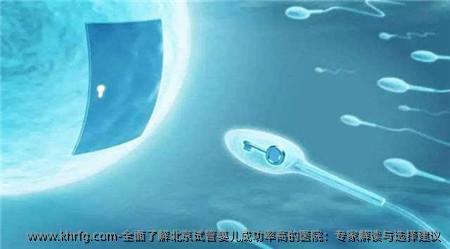 全面了解北京试管婴儿成功率高的医院：专家解读与选择建议