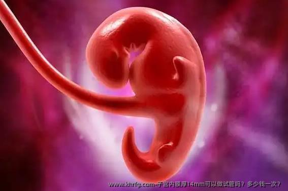 子宫内膜厚14mm可以做试管吗？多少钱一次？