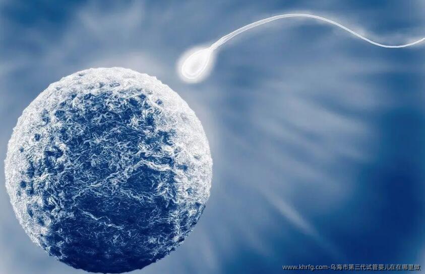 乌海市第三代试管婴儿在在哪里做