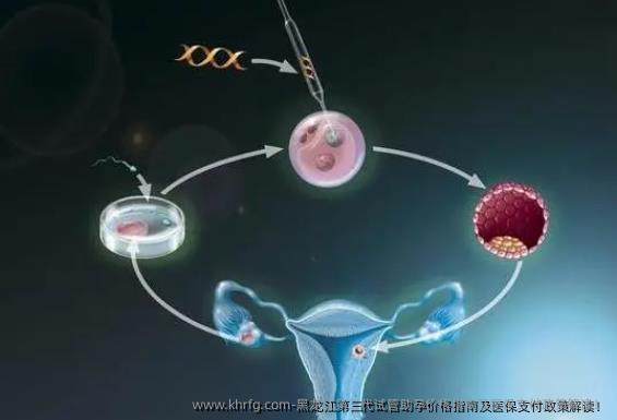 黑龙江第三代试管助孕价格指南及医保支付政策解读！