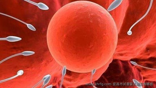 宜昌市试管婴儿医院有哪些