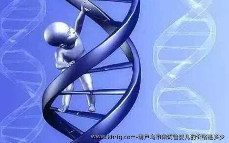 葫芦岛市做试管婴儿的价格是多少