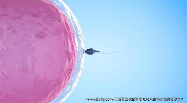 上海第三代试管婴儿技术价格大概需要多少？