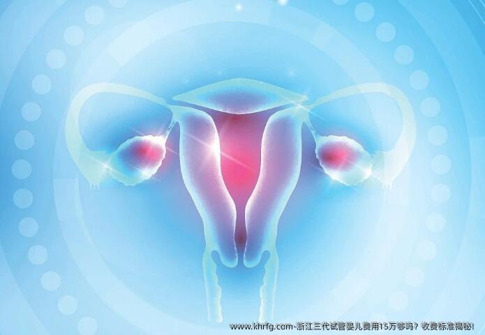 浙江三代试管婴儿费用15万够吗？收费标准揭秘！