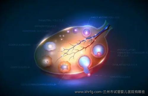 兰州市试管婴儿医院有哪些