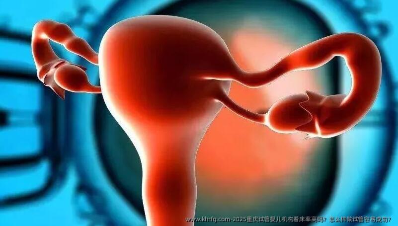 2025重庆试管婴儿机构着床率高吗？怎么样做试管容易成功？