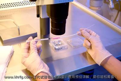 三代试管在马来西亚：费用预估详解，助你轻松筹备！