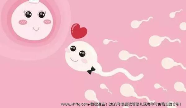 数据说话！2025年泰国试管婴儿成功率与价格全面分析！