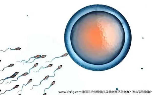 泰国三代试管婴儿花费太高了怎么办？怎么节约费用？