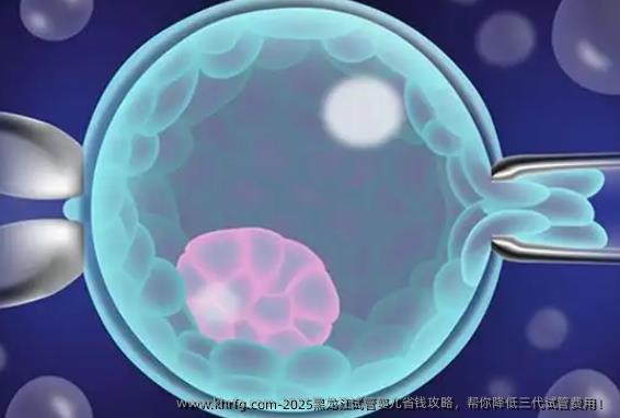 2025黑龙江试管婴儿省钱攻略，帮你降低三代试管费用！