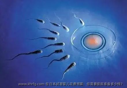 在日本试管婴儿花费预算：你需要提前准备多少钱？