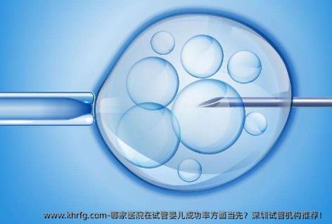 哪家医院在试管婴儿成功率方面当先？深圳试管机构推荐！