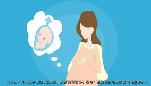 2025武汉做一次试管需要多少费用？试管失败后又需要再花费多少？