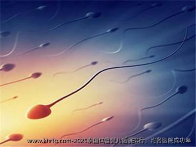 2025泰国试管婴儿医院排行，附各医院成功率