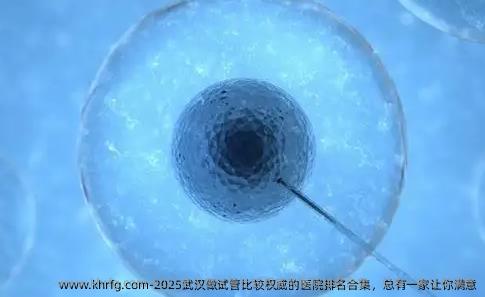 2025武汉做试管比较优秀的医院排名合集，总有一家让你满意