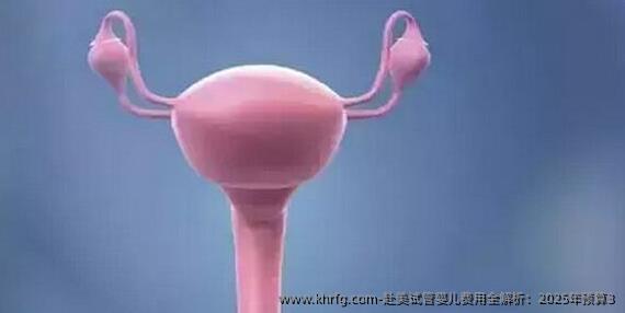 赴美试管婴儿费用全解析：2025年预算3