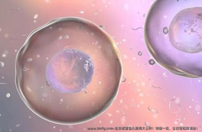 北京试管婴儿费用大公开！明细一览，让你轻松算清账！