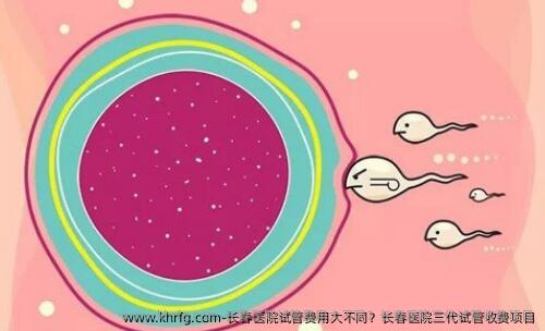 长春医院试管费用大不同？长春医院三代试管收费项目