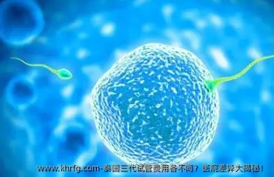 泰国三代试管费用各不同？医院差异大揭秘！