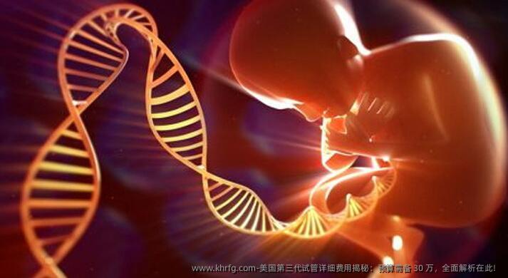 美国第三代试管详细费用揭秘：预算需备 30 万，全面解析在此！