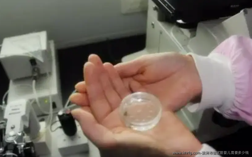 滨州市做试管婴儿需要多少钱