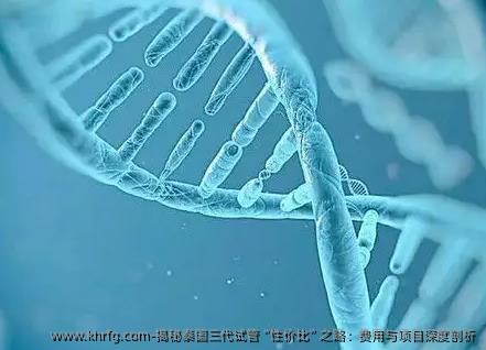 揭秘泰国三代试管“性价比”之路：费用与项目深度剖析