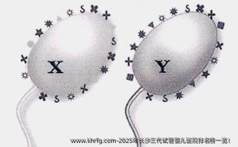 2025年长沙三代试管婴儿医院排名榜一览！