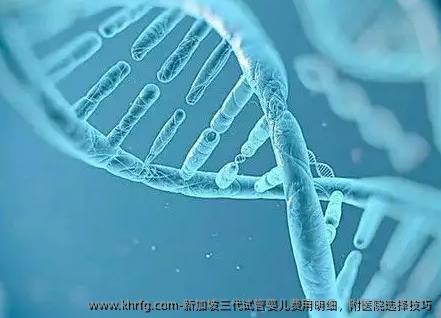 新加坡三代试管婴儿费用明细，附医院选择技巧