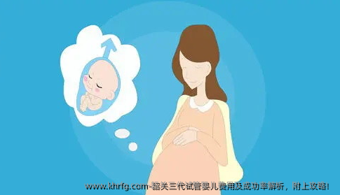 韶关三代试管婴儿费用及成功率解析，附上攻略！