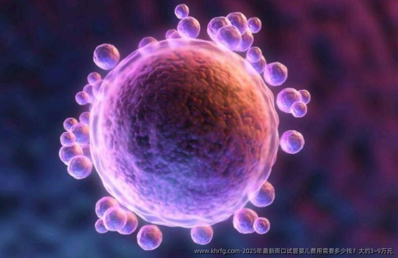 2025年最新周口试管婴儿费用需要多少钱？大约3~9万元