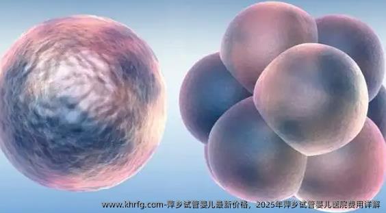 萍乡试管婴儿最新价格，2025年萍乡试管婴儿医院费用详解