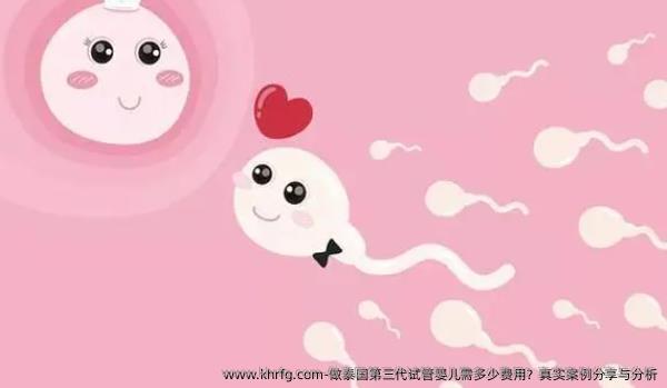 做泰国第三代试管婴儿需多少费用？真实案例分享与分析