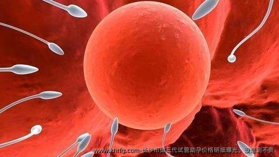 长沙市做三代试管助孕价格明细曝光，没想到不贵