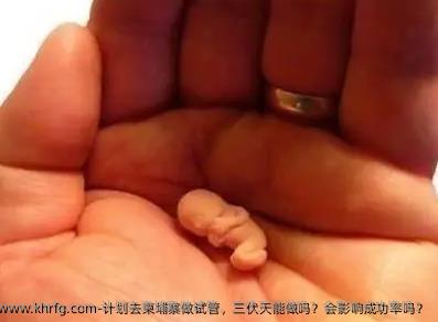 计划去柬埔寨做试管，三伏天能做吗？会影响成功率吗？