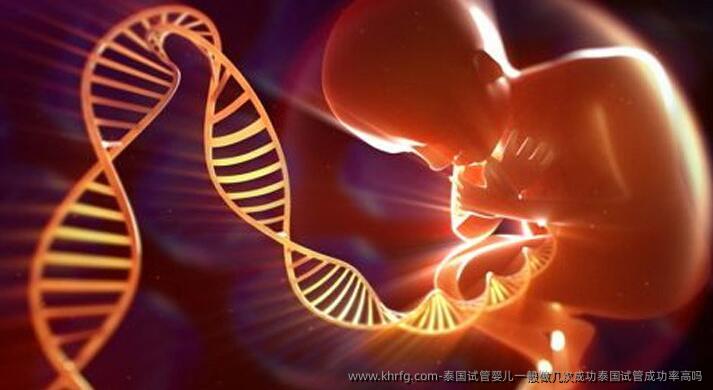 泰国试管婴儿一般做几次成功泰国试管成功率高吗